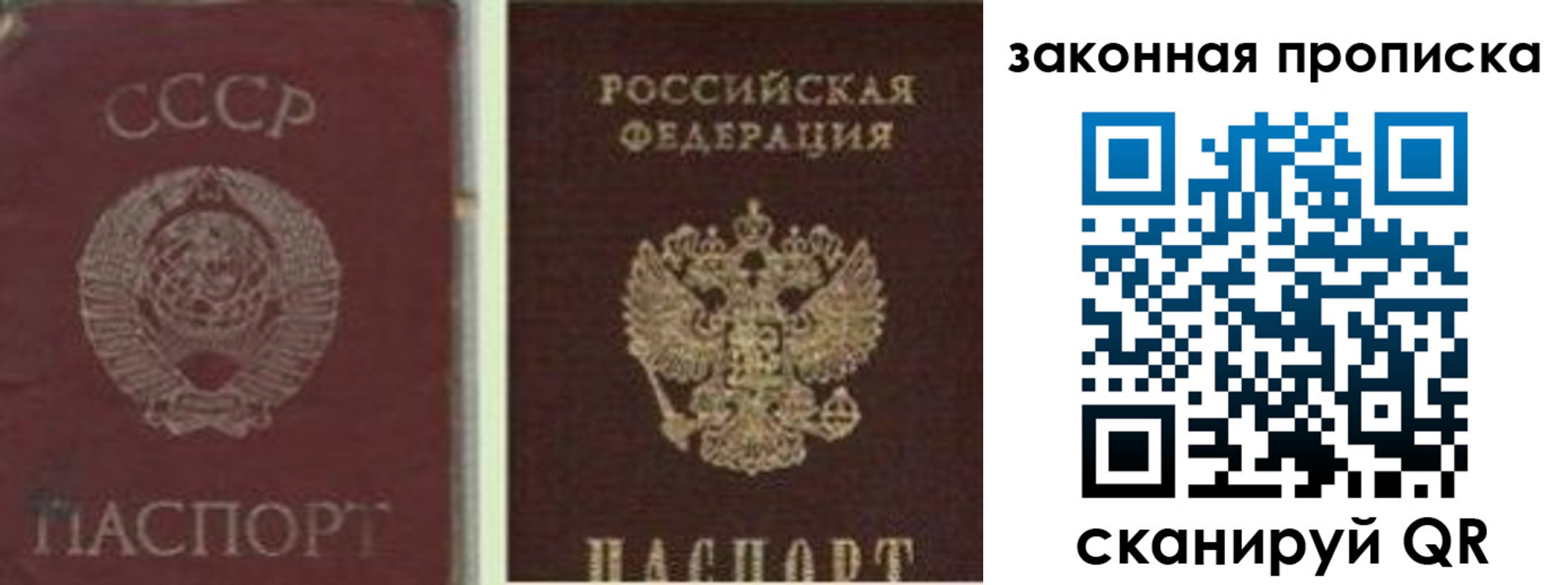 прописка для работы в Зее